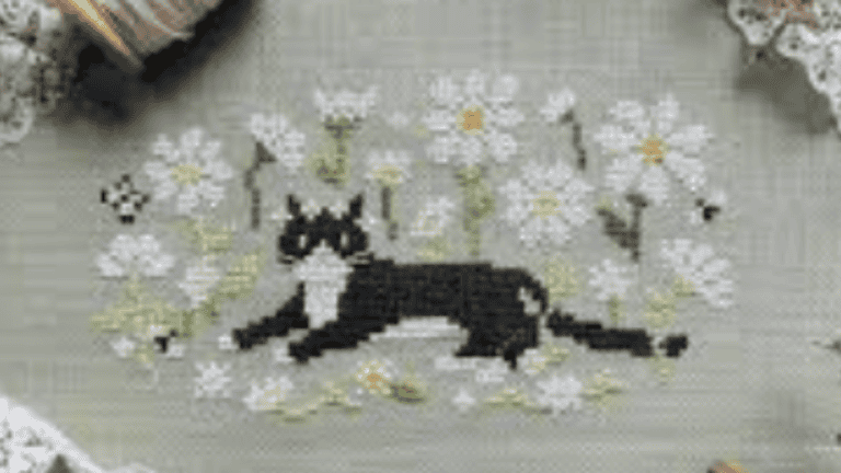 black and white cat lying in daisies