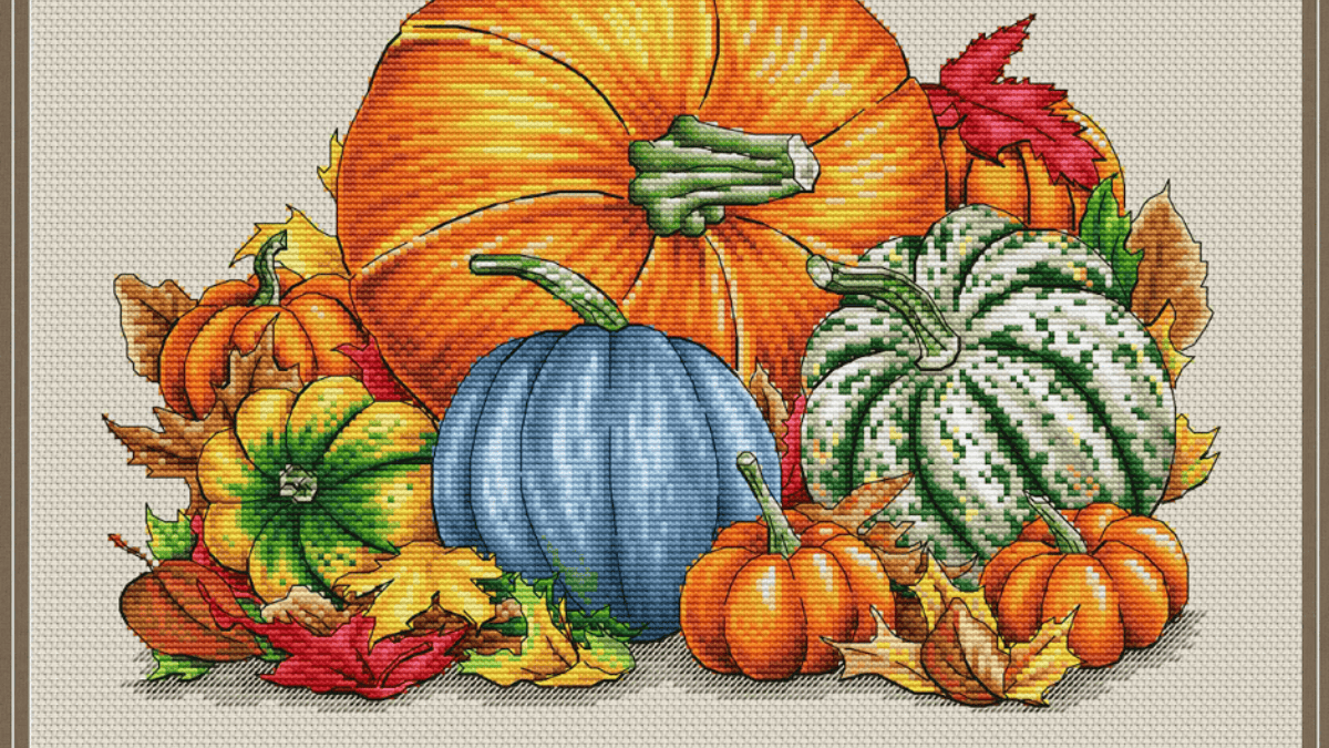 various pumpkins with different colors