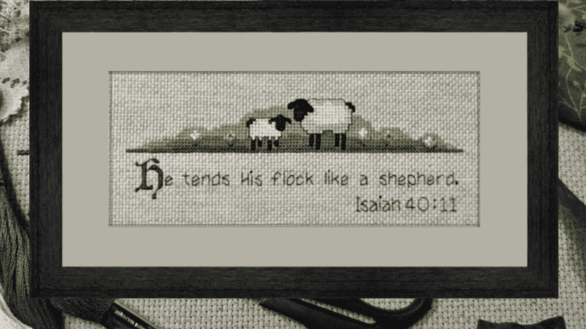 sheep in green pasture with scripture