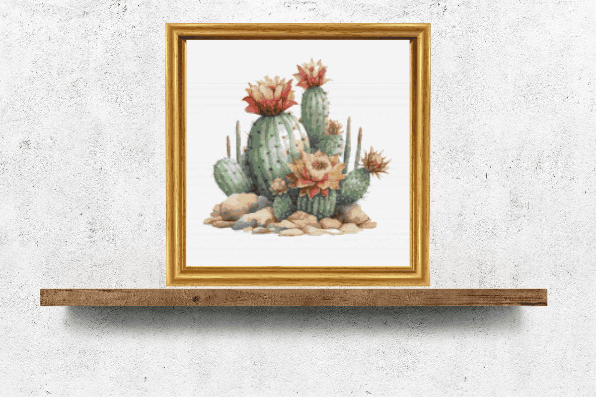 Cactus that are blooming