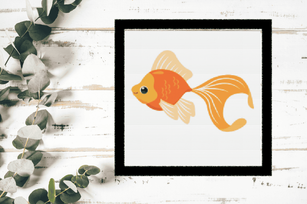 Multiple colors of orange fish